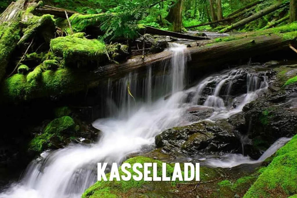 kasselladi