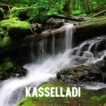 kasselladi